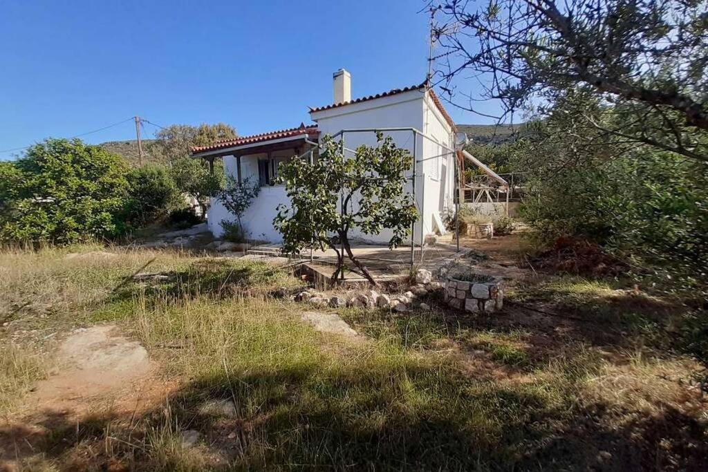 فيلا Elafonisos Detached House In Quiet Olive Grove, Starlink Internet & Smart Projector! المظهر الخارجي الصورة